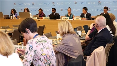 WTO að endurskoða bandaríska skattafslátt samkvæmt lögum um lækkun verðbólgu ...