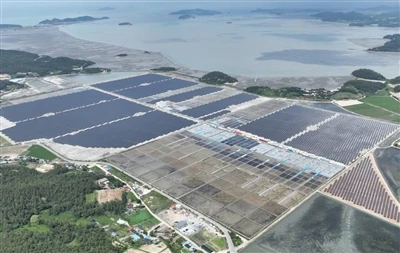 Esmeralda Seven Solar Project: Bandaríkin afturkalla Nevada-samþykki